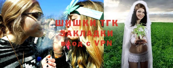 PSILOCYBIN Алзамай