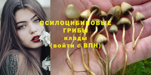 2c-b Алексин