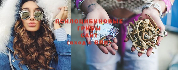 2c-b Алексин