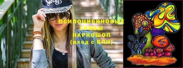 PSILOCYBIN Алзамай
