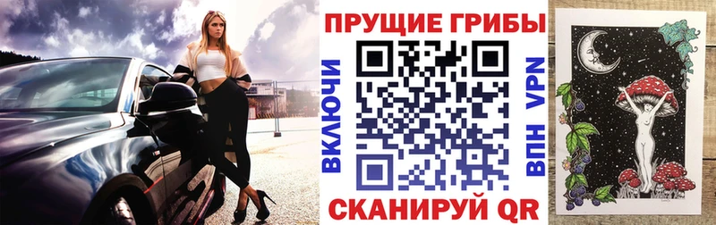 Псилоцибиновые грибы Psilocybe  hydra tor  Дно 